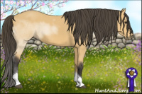 Horse Color:Buckskin Sabino Tobiano 