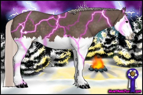 Horse Color: Silver Black Splash 