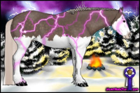 Horse Color:Silver Black Splash 