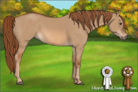 Horse Color:Red Dun Sabino