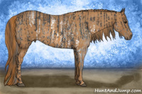 Horse Color:White Spotted Black Rabicano  Brindle