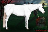Horse Color:Chestnut Near Fewspot 