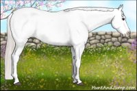 Horse Color:Silver Bay Near Fewspot 