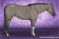 Horse Color:Grullo Roan Tobiano 