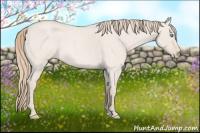 Horse Color:Smoky Creme Roan Dun 