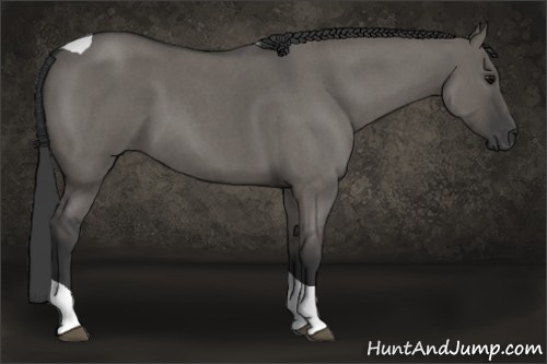 Horse Color: Grullo Roan Tobiano 