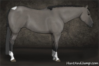 Horse Color:Grullo Roan Tobiano 