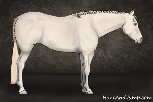 Horse Color: Perlino 