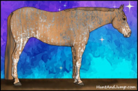 Horse Color:White Spotted Blue Roan Rabicano  Brindle