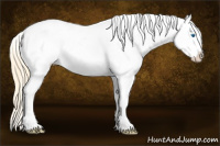 Horse Color:Smoky Grullo Pearl Splash Appaloosa 