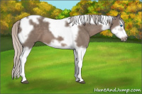 Horse Color:Silver Black Splash Tobiano Frame 