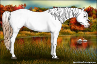 Horse Color:Chestnut Blanket 