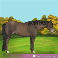 Horse Color:Classic Champagne 