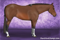 Horse Color:Bay Tobiano Rabicano 