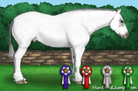 Horse Color:White Spotted Brown Roan Splash Frame 