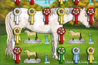 Horse Color:White Spotted Perlino 