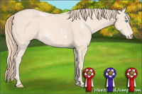 Horse Color:White Spotted Perlino 