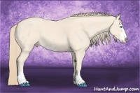 Horse Color:Perlino Sabino
