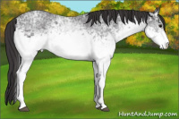 Horse Color:White Spotted Smoky Black Ice Sabino