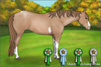 Horse Color:Black Pearl Splash Tobiano 