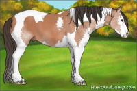 Horse Color:Bay Splash Tobiano