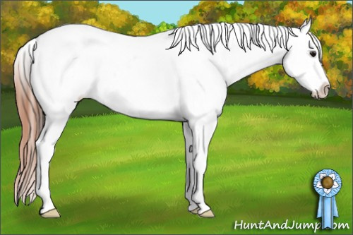 Horse Color: Bay Tobiano Near Leopard 