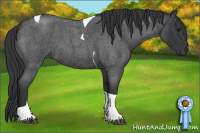 Horse Color:Blue Roan Tobiano 