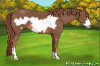 Horse Color:Liver Chestnut Frame 