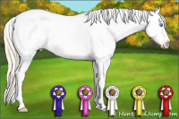 Horse Color:White Spotted Smoky Creme Appaloosa 