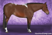 Horse Color:Bay Tobiano Rabicano 