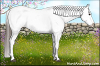 Horse Color:Brown Appaloosa 