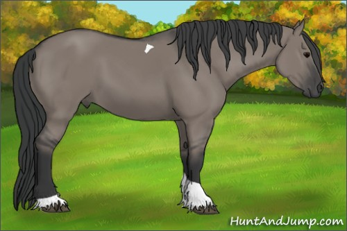 Horse Color: Grullo Tobiano 