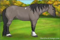 Horse Color:Grullo Tobiano 