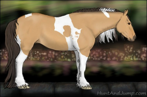 Horse Color: Buckskin Dun Tobiano 