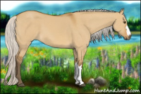 Horse Color:Silver Buckskin Dun