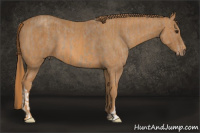 Horse Color:Classic Champagne Brindle