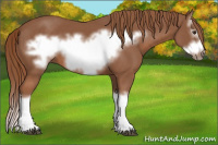 Horse Color:Chestnut Splash Frame