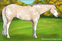 Horse Color:White Spotted Chocolate Palomino Pearl Splash 