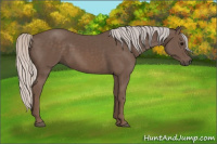 Horse Color:Silver Black 