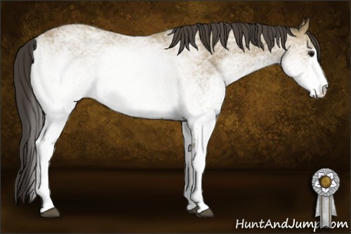 Horse Color: White Spotted Buckskin 