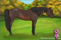 Horse Color:Brown Rabicano 