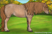 Horse Color:Red Roan 