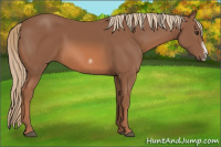 Horse Color:Chestnut Frame
