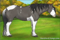 Horse Color:Grullo Splash Tobiano
