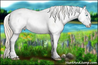 Horse Color:Smoky Creme Dun Sabino 