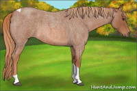 Horse Color:Red Roan Tobiano