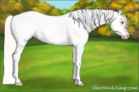 Horse Color:Palomino Dun Snowcap 