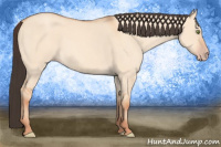 Horse Color:Amber Champagne Dun 