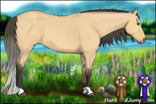 Horse Color: Buckskin Dun 