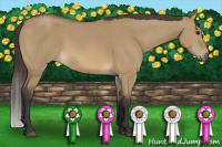 Horse Color:Buckskin Dun 